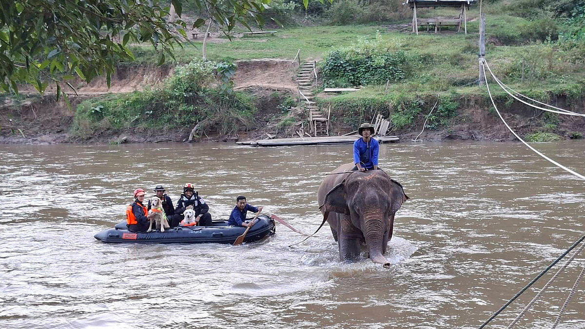 Dogs train with elephants: IRO - International Search and Rescue Dog ...